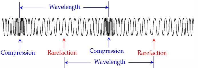 Transverse and Longitudinal Wave Physics Project Xiong