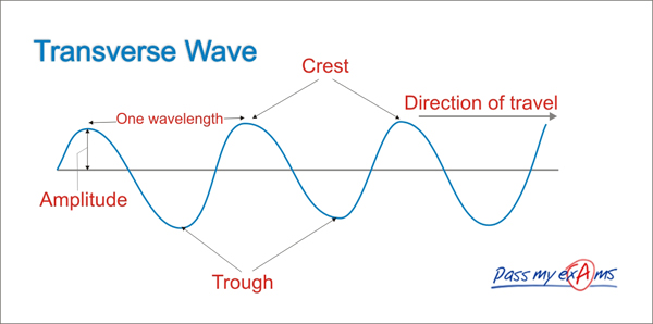 Transverse And Longitudinal Wave Physics Project Xiong